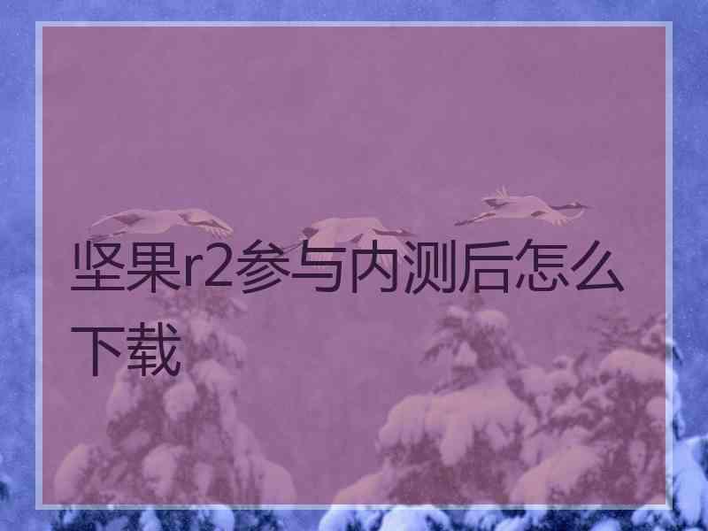 坚果r2参与内测后怎么下载