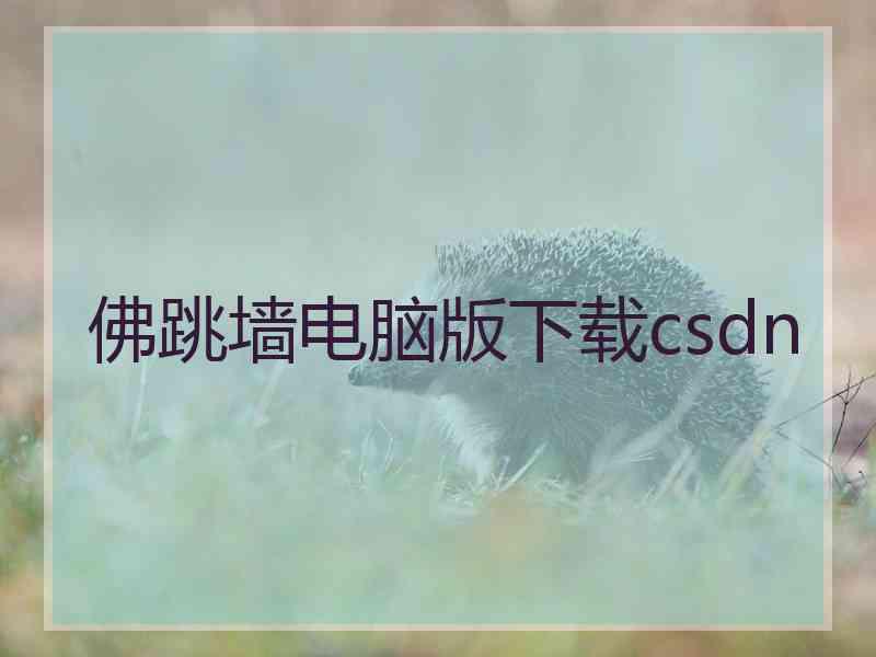 佛跳墙电脑版下载csdn