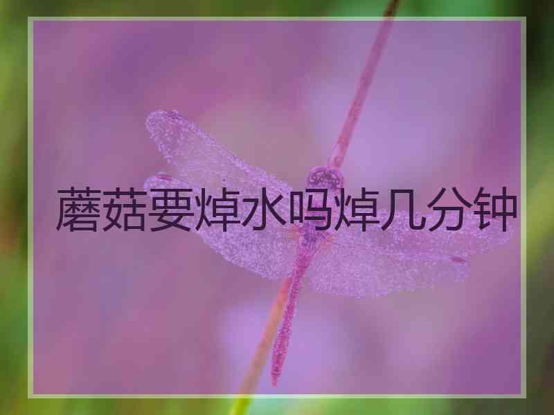 蘑菇要焯水吗焯几分钟