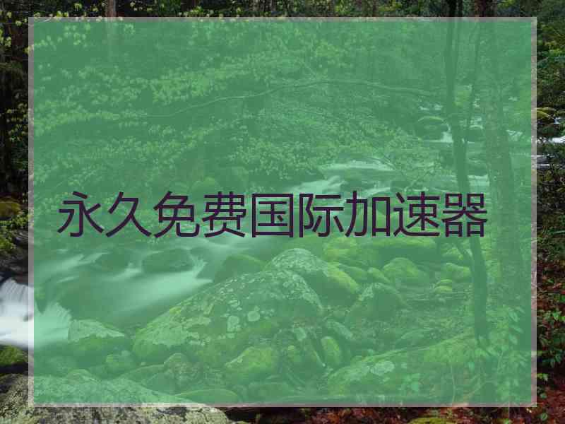 永久免费国际加速器