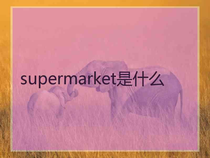 supermarket是什么