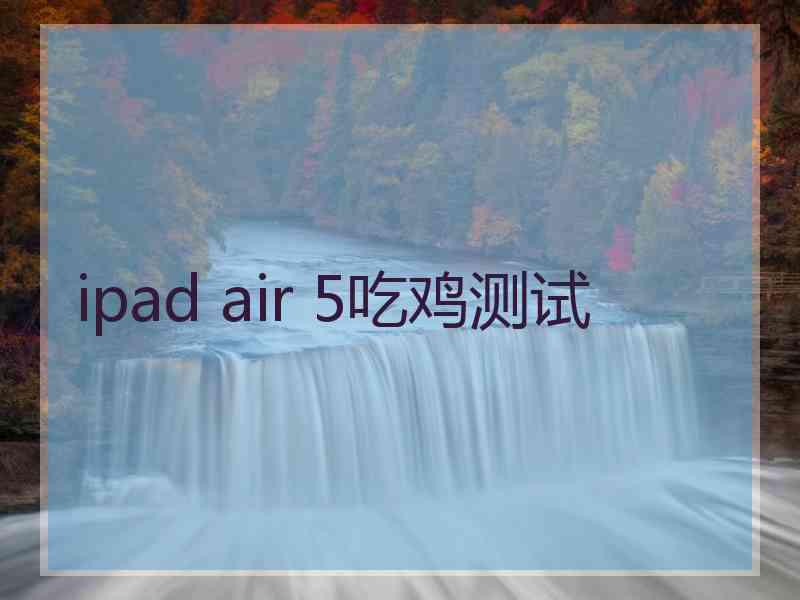 ipad air 5吃鸡测试