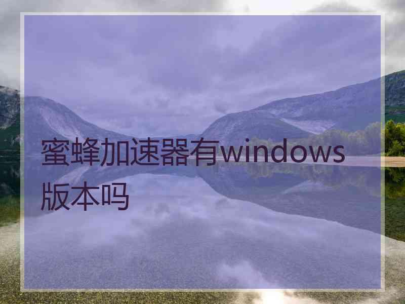 蜜蜂加速器有windows版本吗