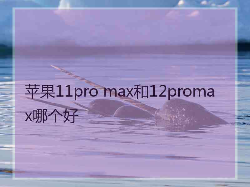 苹果11pro max和12promax哪个好