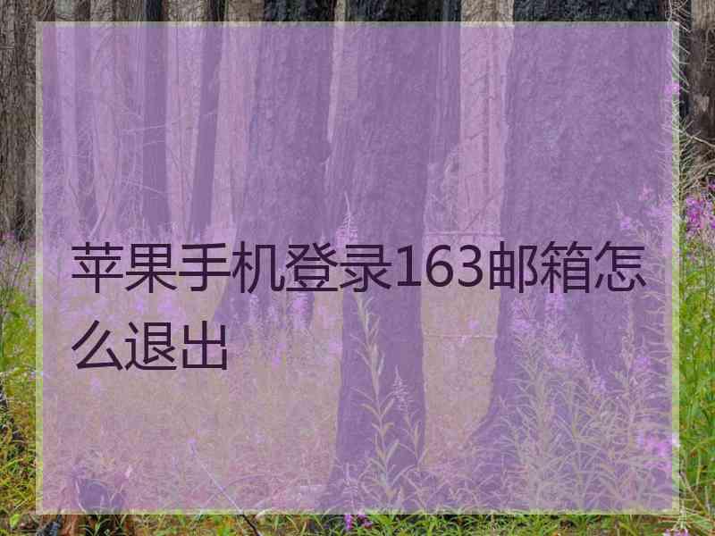 苹果手机登录163邮箱怎么退出