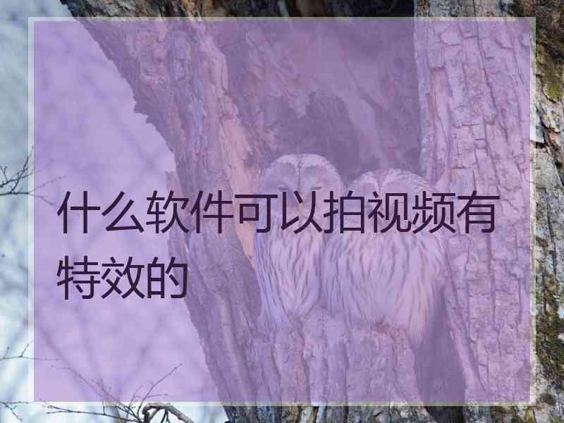 什么软件可以拍视频有特效的