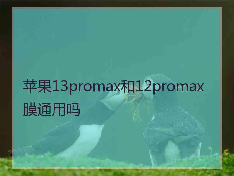 苹果13promax和12promax膜通用吗