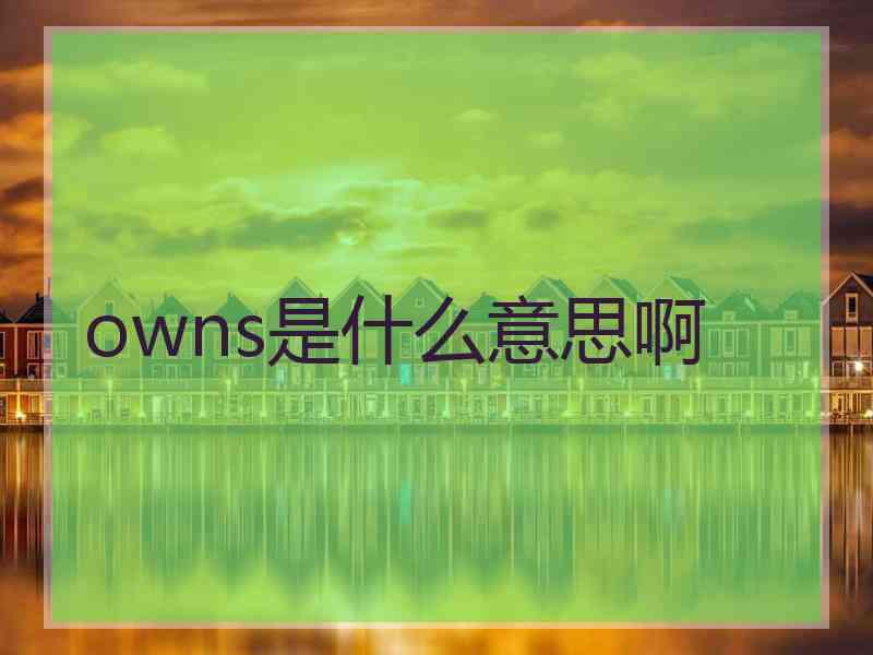 owns是什么意思啊