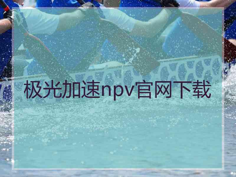 极光加速npv官网下载