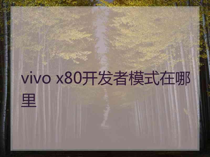 vivo x80开发者模式在哪里