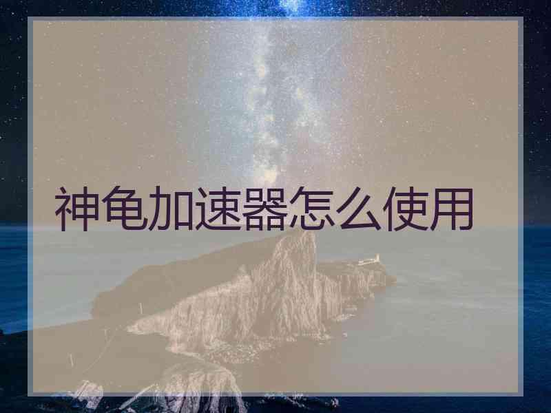 神龟加速器怎么使用