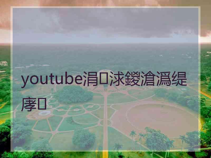 youtube涓浗鍐滄潙缇庨