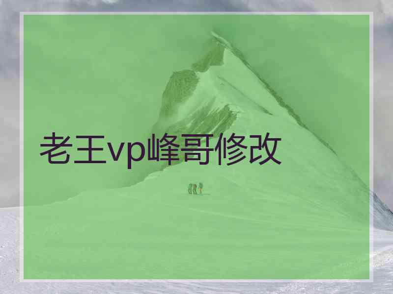 老王vp峰哥修改