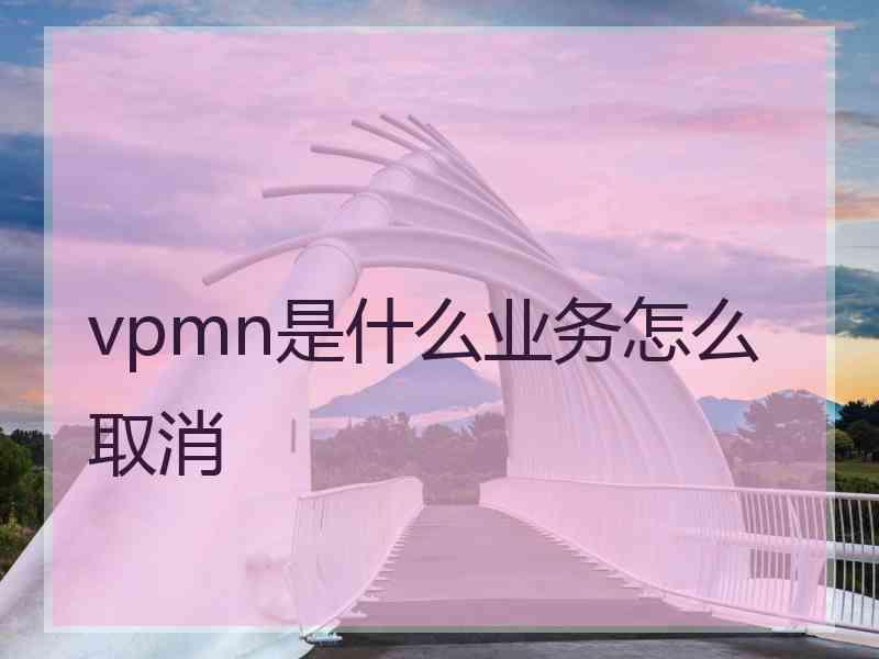 vpmn是什么业务怎么取消