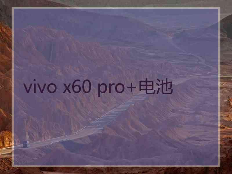 vivo x60 pro+电池