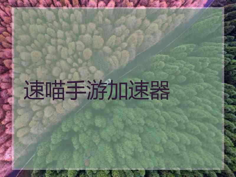 速喵手游加速器