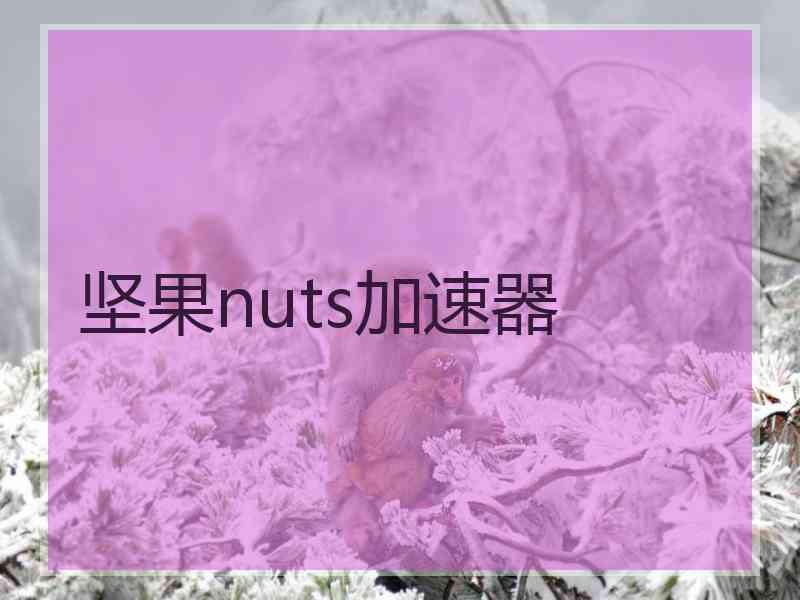 坚果nuts加速器