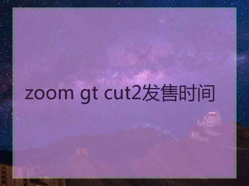 zoom gt cut2发售时间