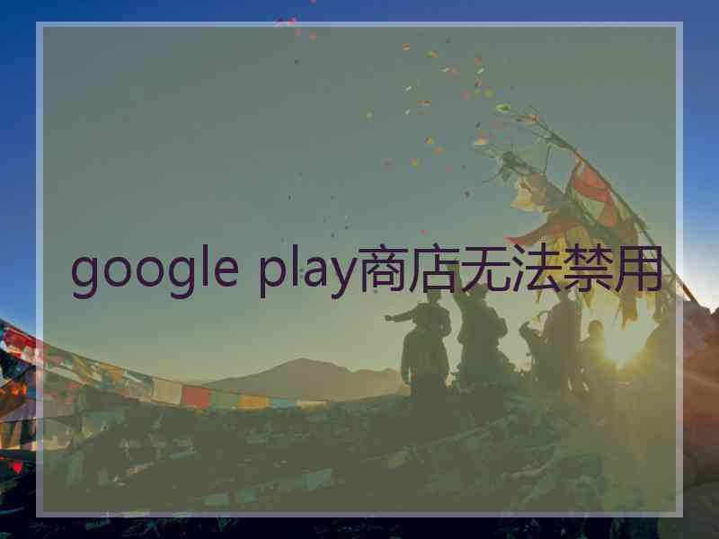 google play商店无法禁用