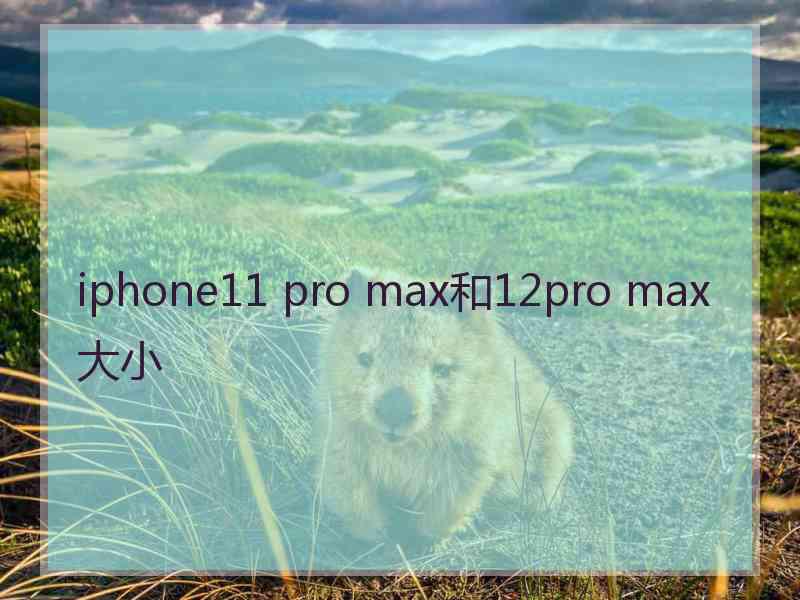 iphone11 pro max和12pro max大小