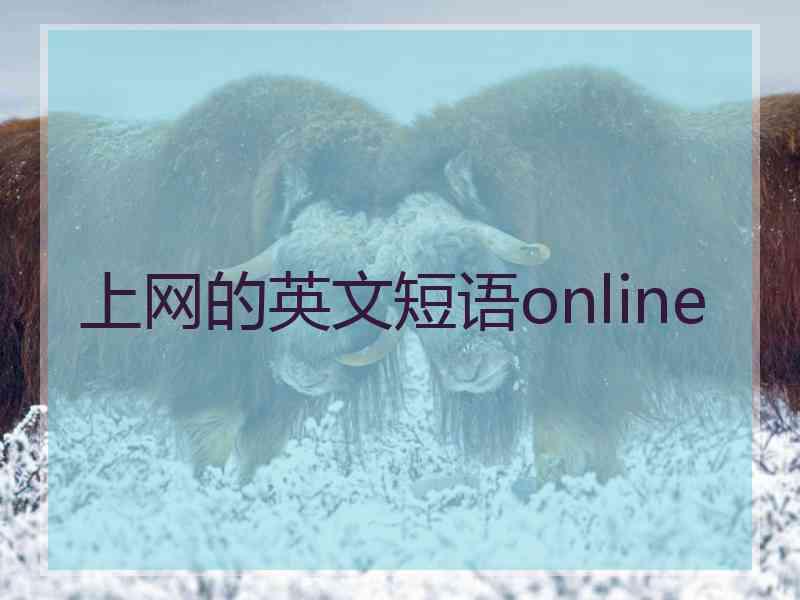 上网的英文短语online