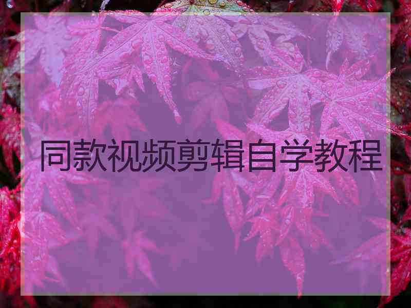 同款视频剪辑自学教程