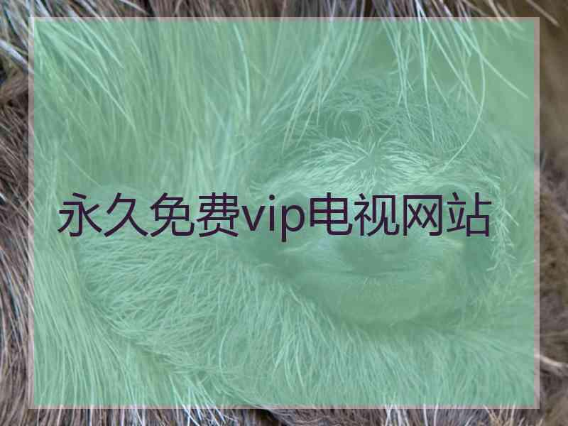 永久免费vip电视网站