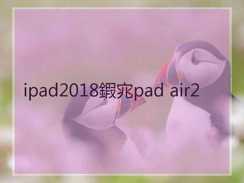 ipad2018鍜宨pad air2