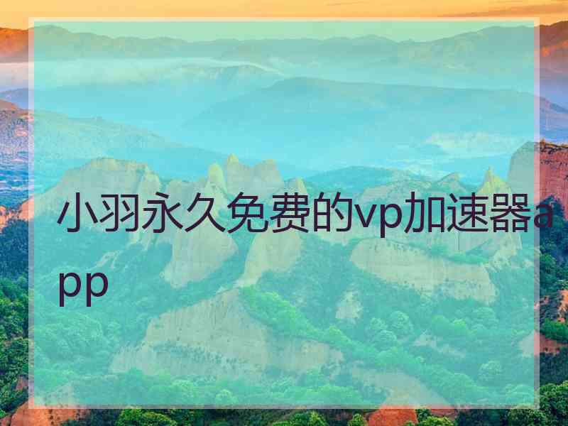 小羽永久免费的vp加速器app