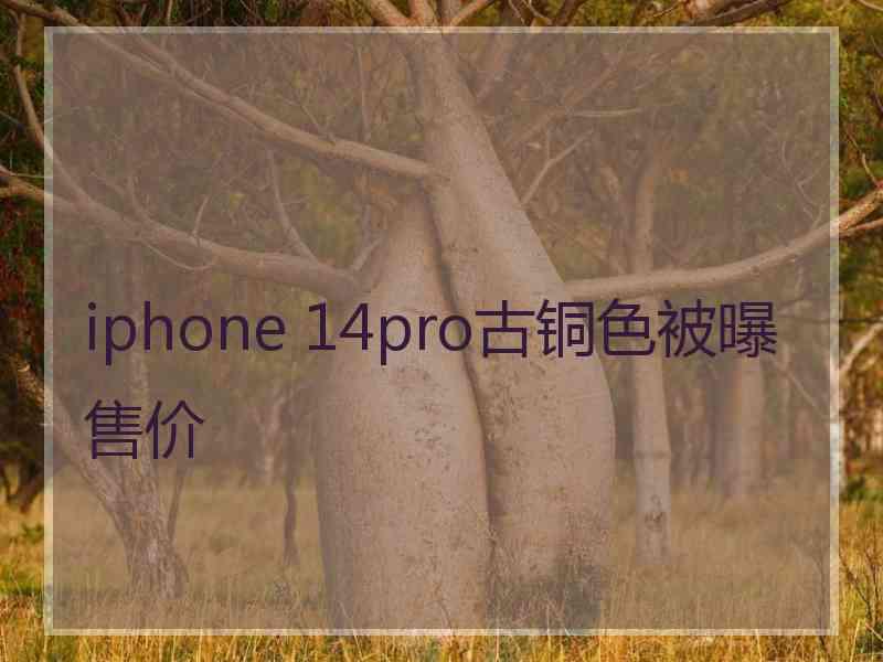 iphone 14pro古铜色被曝售价