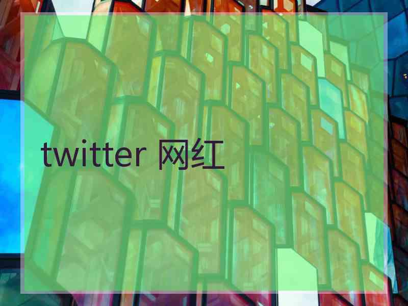 twitter 网红