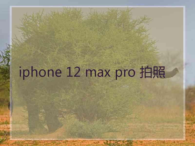 iphone 12 max pro 拍照