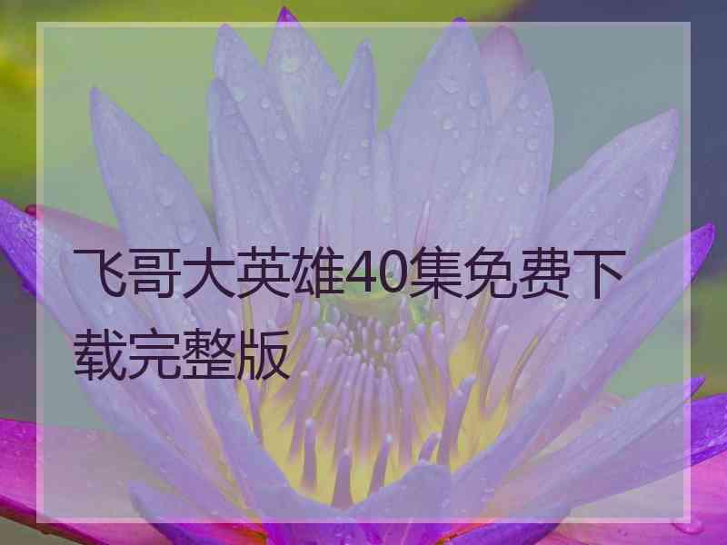 飞哥大英雄40集免费下载完整版