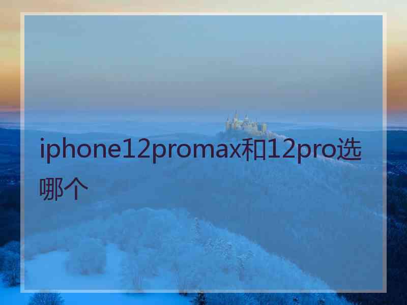 iphone12promax和12pro选哪个