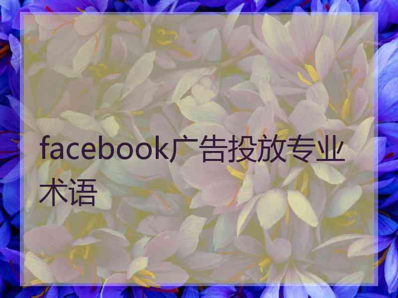 facebook广告投放专业术语