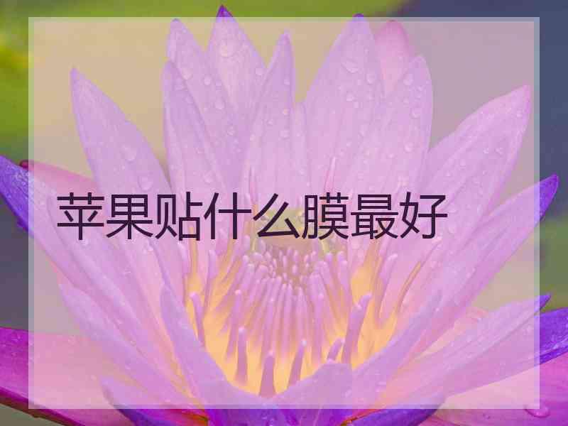 苹果贴什么膜最好