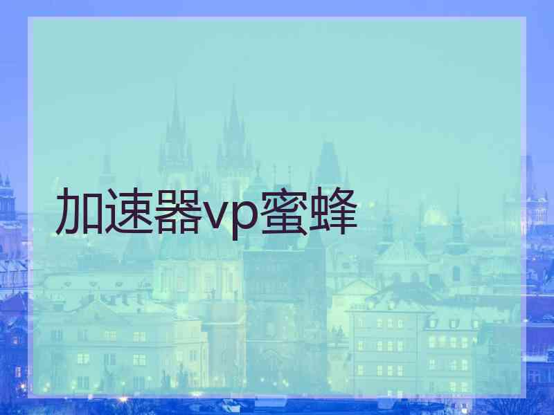 加速器vp蜜蜂