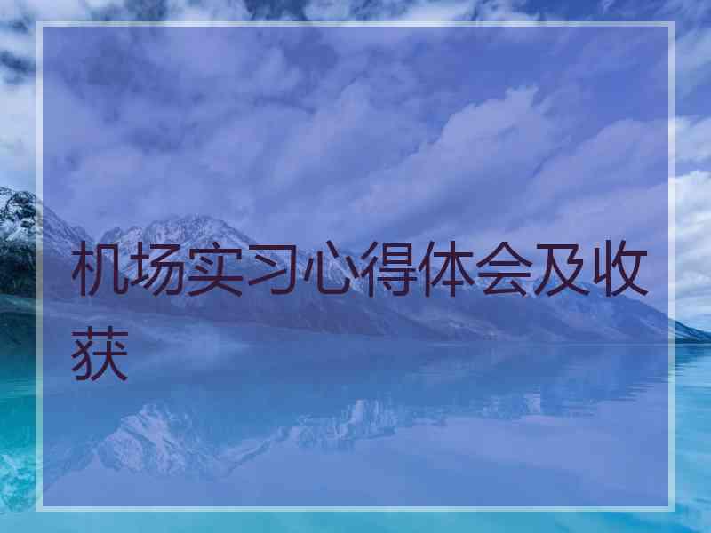 机场实习心得体会及收获