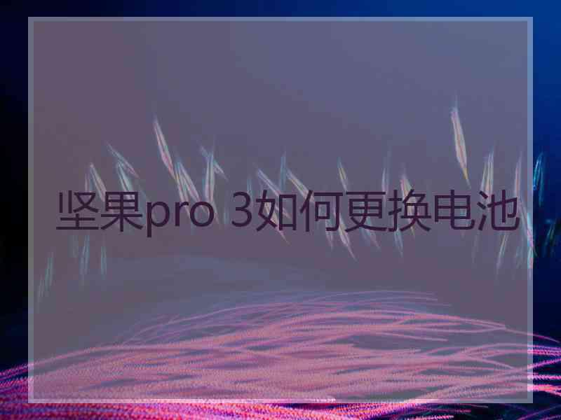 坚果pro 3如何更换电池