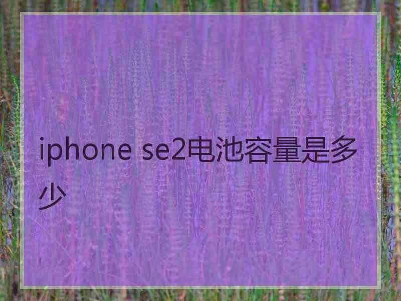 iphone se2电池容量是多少