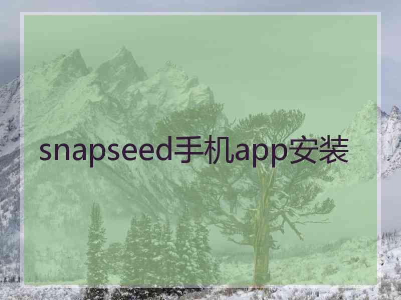 snapseed手机app安装