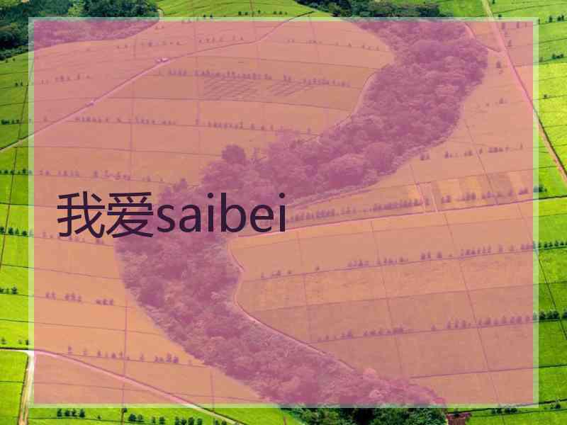 我爱saibei