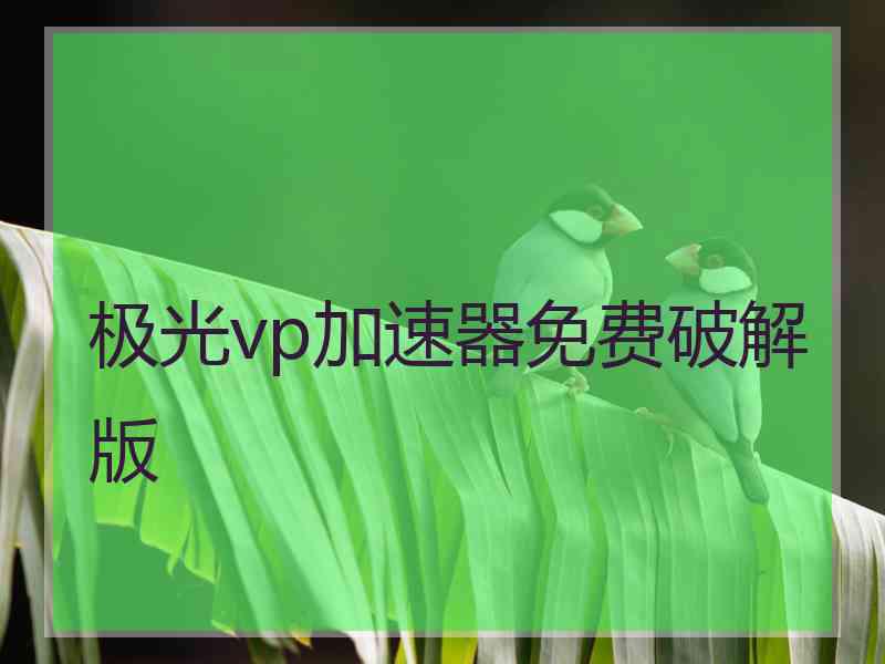 极光vp加速器免费破解版