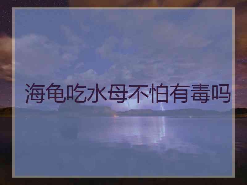 海龟吃水母不怕有毒吗