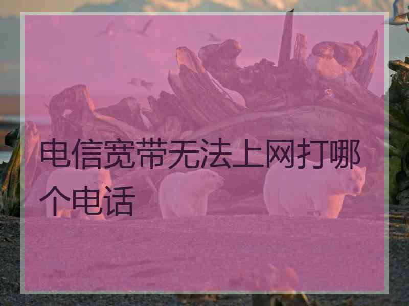 电信宽带无法上网打哪个电话