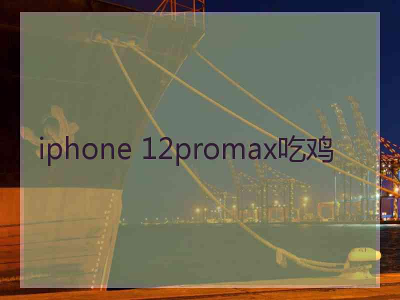 iphone 12promax吃鸡