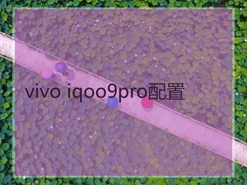 vivo iqoo9pro配置