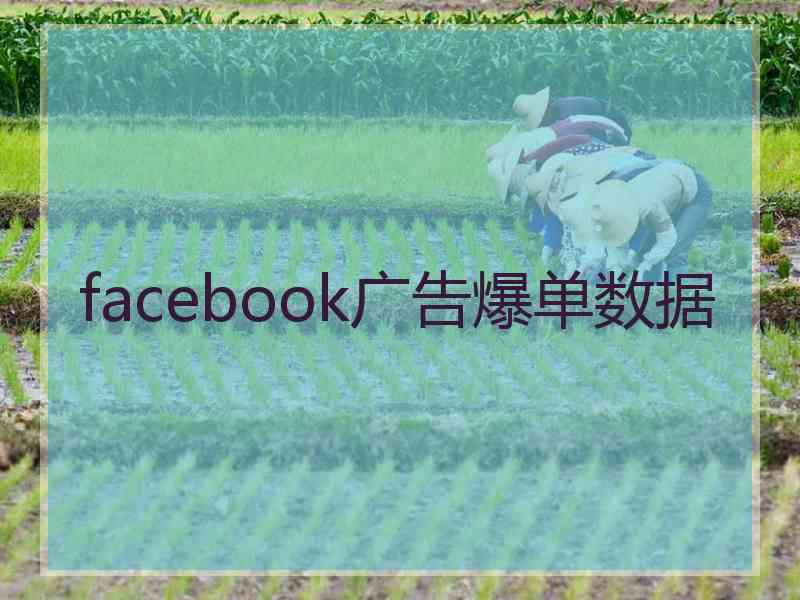 facebook广告爆单数据