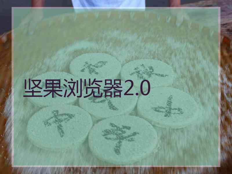 坚果浏览器2.0