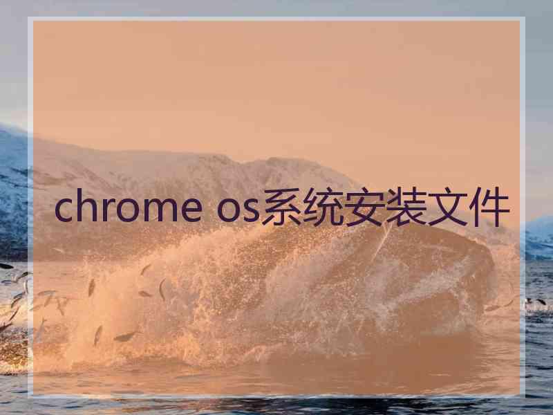 chrome os系统安装文件